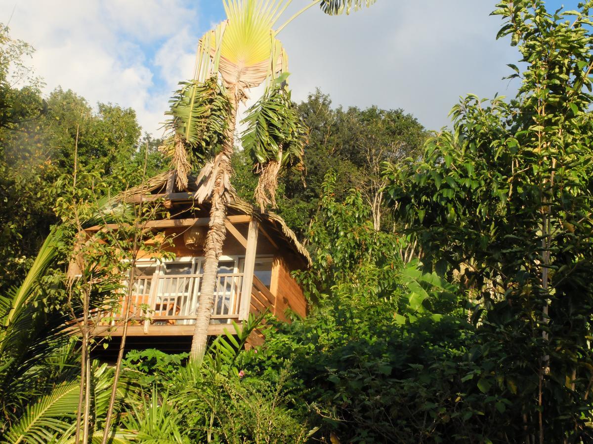 Carre Royal Bed & Breakfast Deshaies Exterior photo